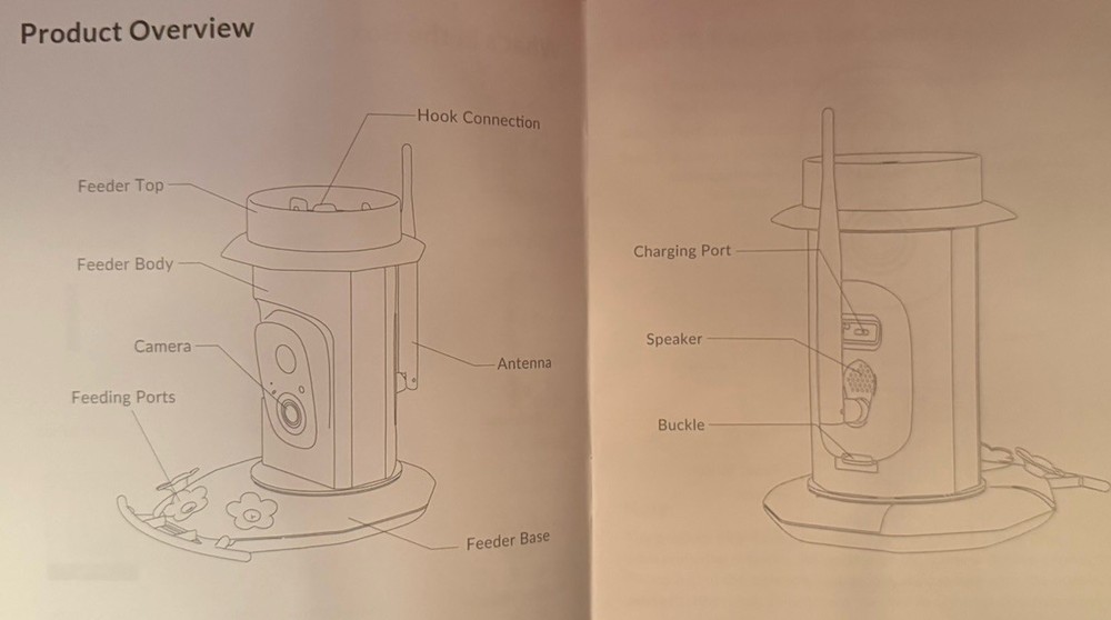 Hummingbird Feeder with Camera