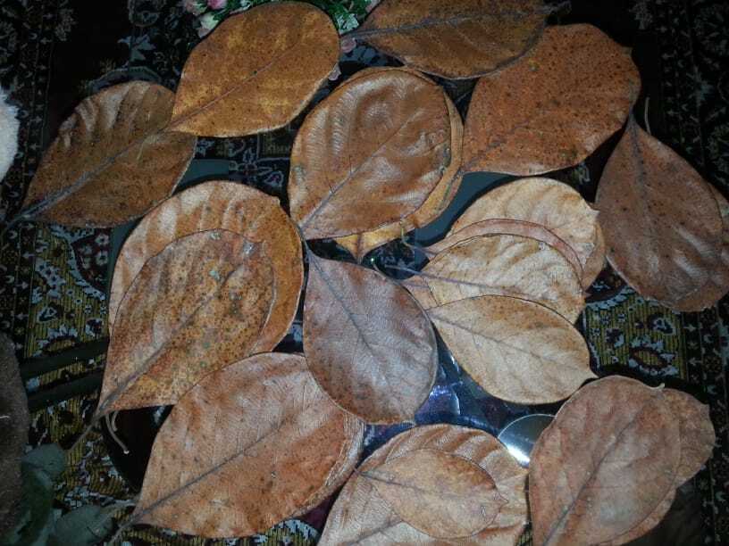 DRIED JACK FRUIT LEAVES (Kathal Leaves)