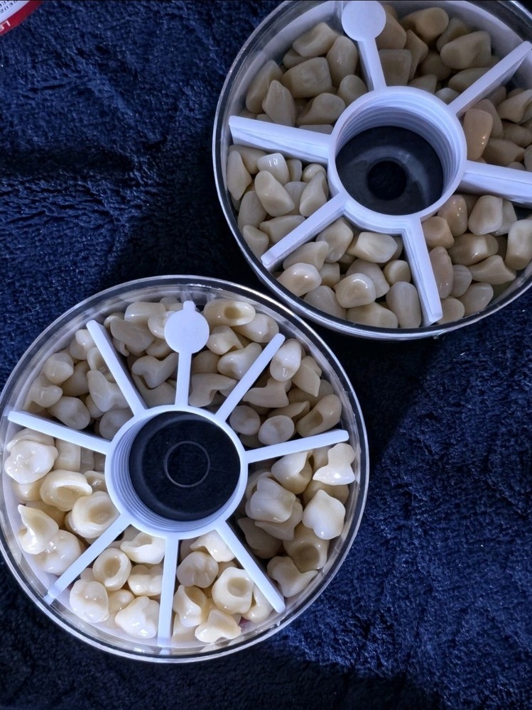 Multi-layer Composite Resin Teeth Dental Laboratory. Includes 20 full sets