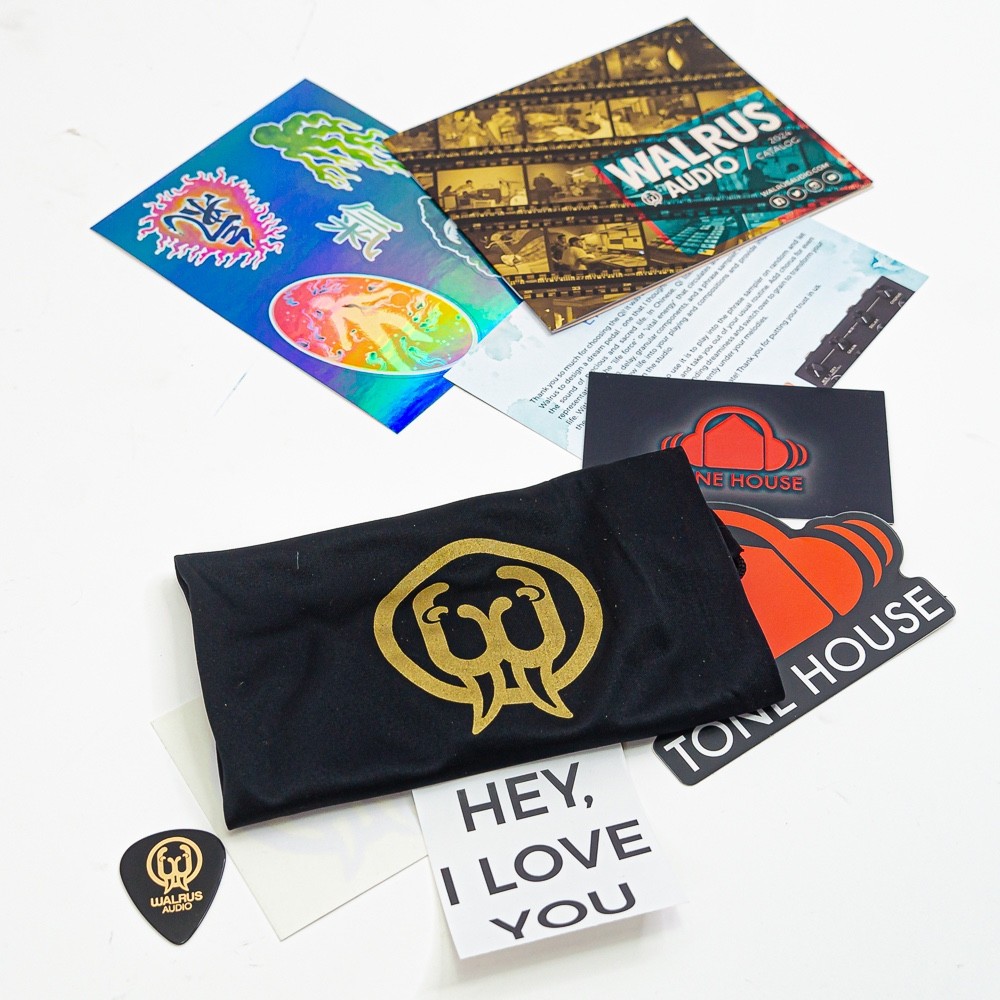 Walrus Audio Qi Etherealizer Multi-Effects Pedal – Black – New