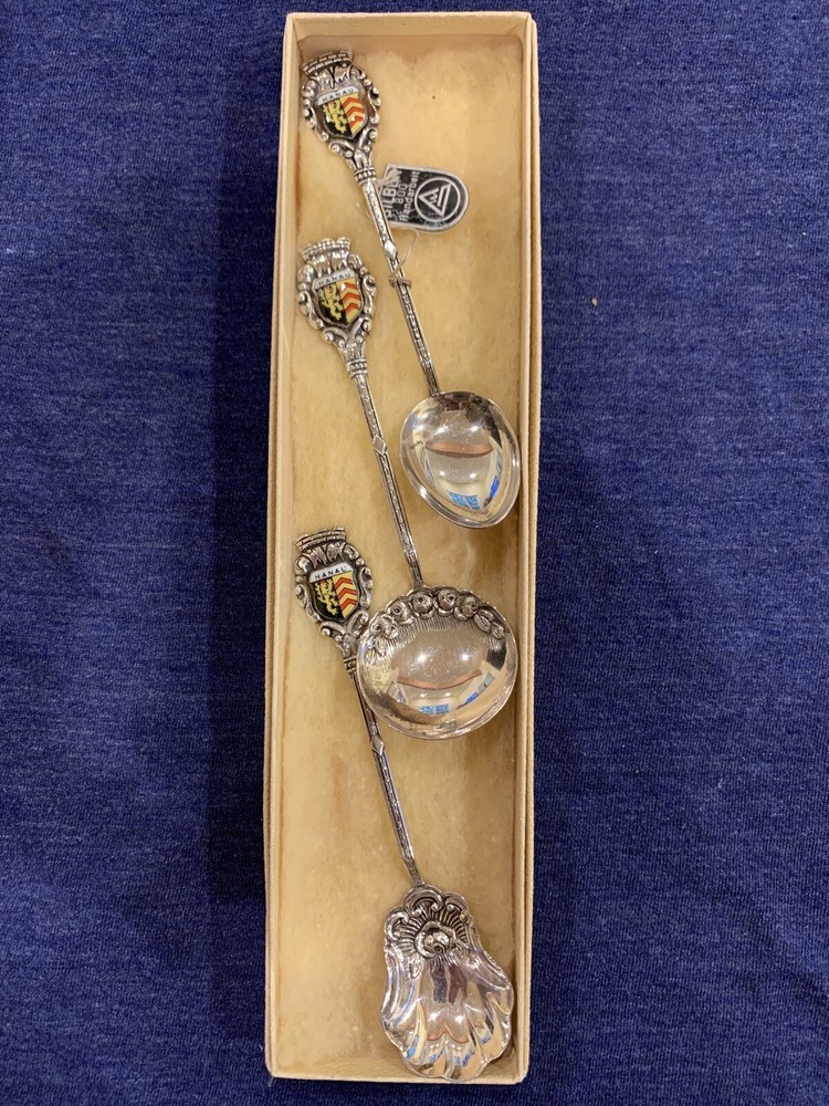 Coin Silver Hanau Souvenir Spoon Set In Box