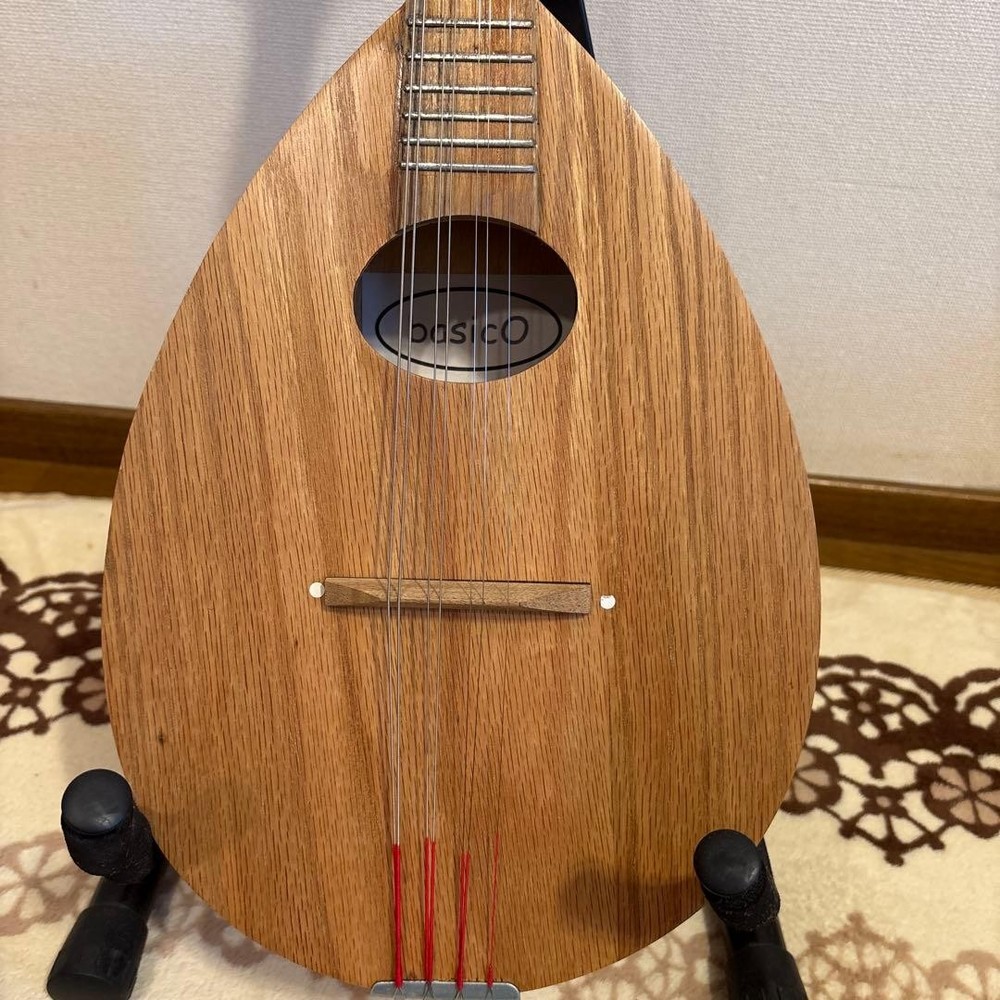 Basiko (flat mandolin) case