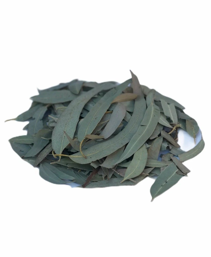 Organic Dried Eucalyptus Leaves / Hojas De Eucalipto From Mexico ( 4 oz )