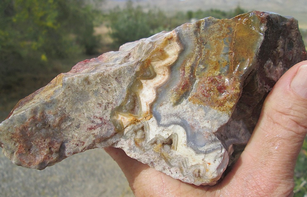 CRAZY LACE AGATE ROUGH ~ 3 lbs 13 ozs