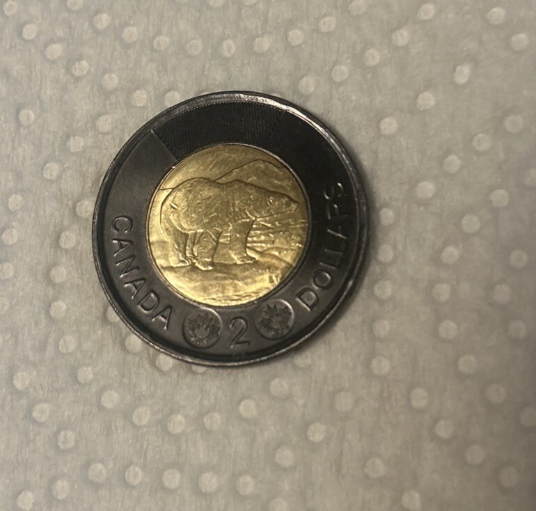Black 2022 Canadian Toonie