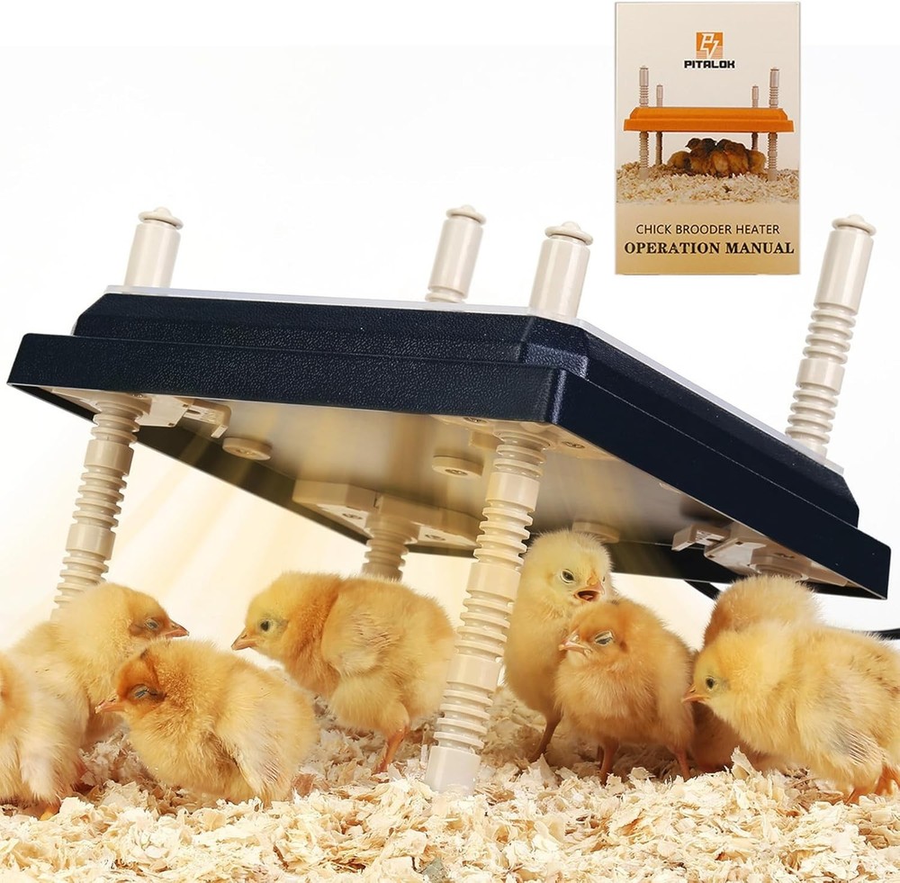 Durable Chick Brooder Heater 10" x 10" with Adjustable Heights for Cozy Warmth