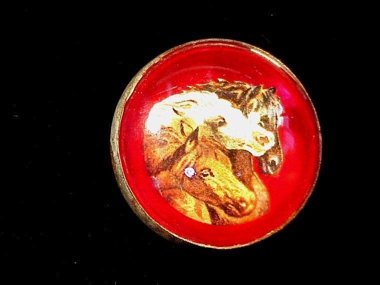 THREE WILD MUSTANGS - Single Glass Dome Rosettes