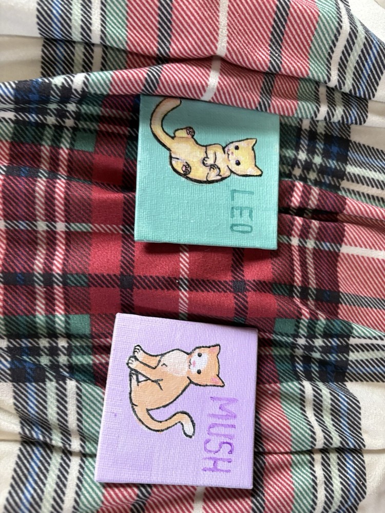 Personalized Painted Cat Magnets