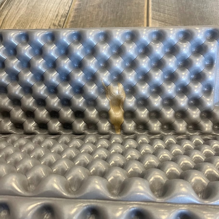 ThermaRest Z Lite SOL Sleeping Pad - New