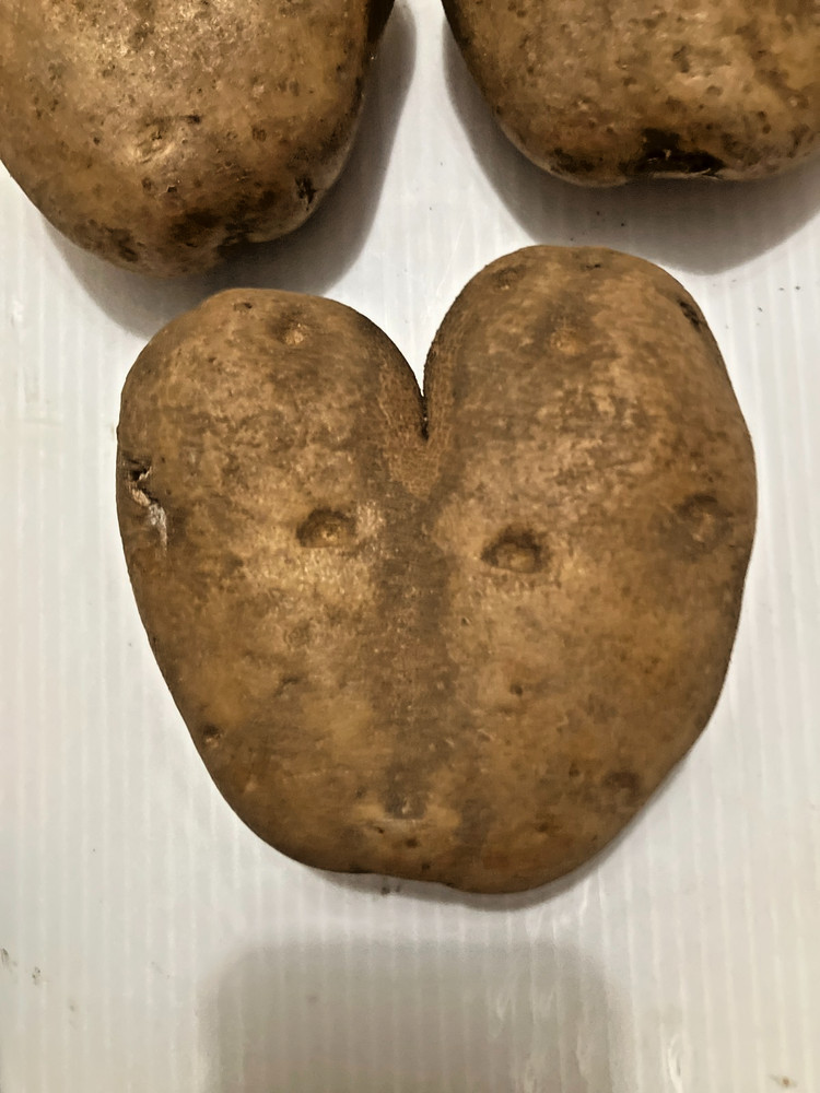 (3) Heart Shaped Potatoes
