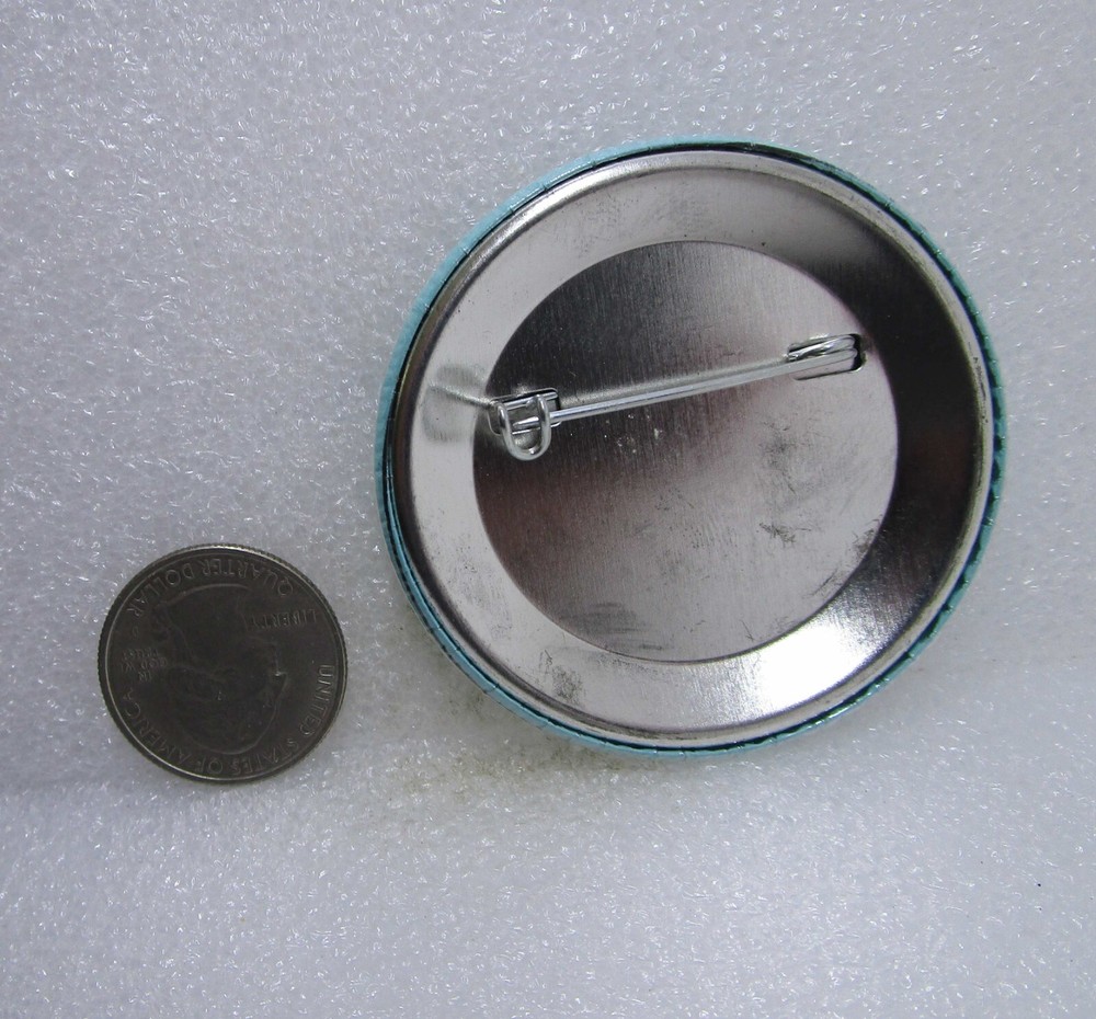 Hate Free Zone Button Pin