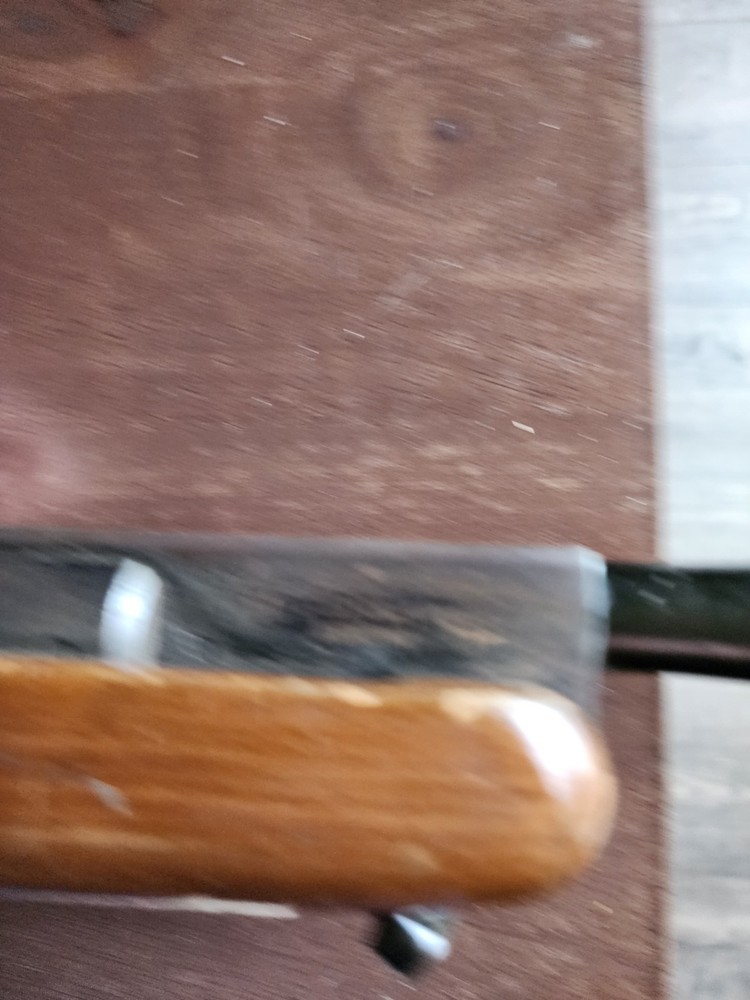 Benjamin Trail NP XL .177 Cal