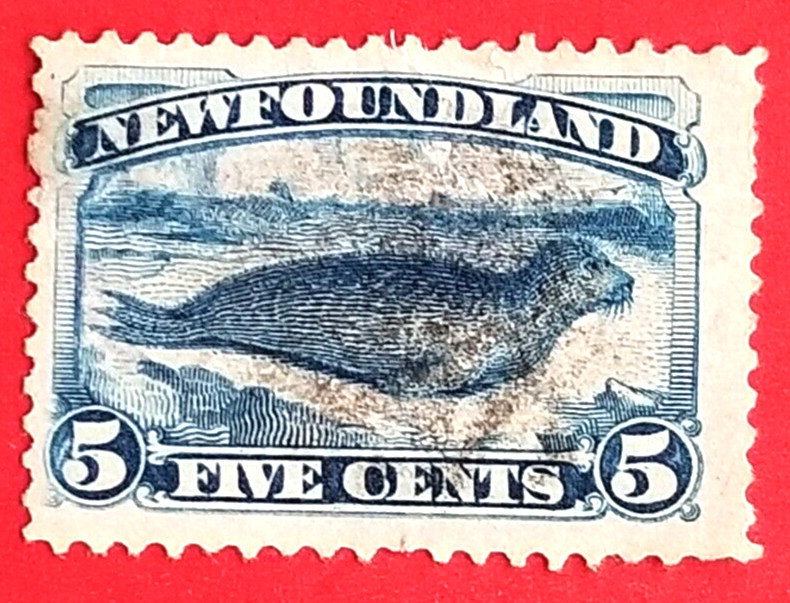 Canada Newfoundland 55 Harp Seal Used