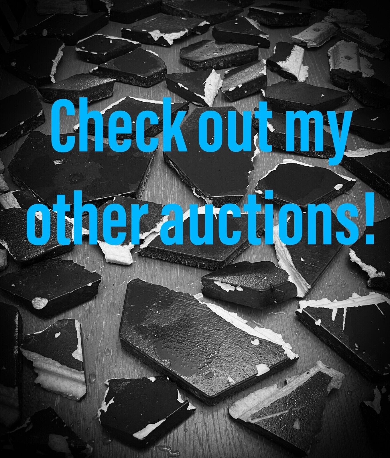 SpaceX Starship Flight 7 Ragged Islands Recovered Epic S33 Tile Relic & Extras