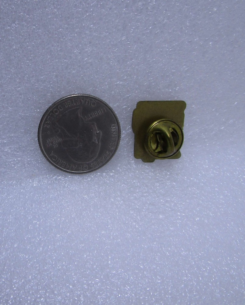 Minnesota Air Guard Plastic Pin