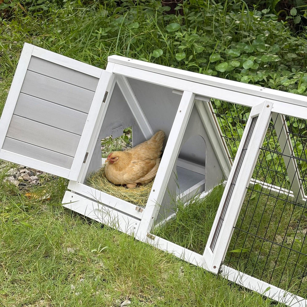 A-Frame Small Chicken Coop with Nesting Box, Egg Door & Wire Mesh Run, White