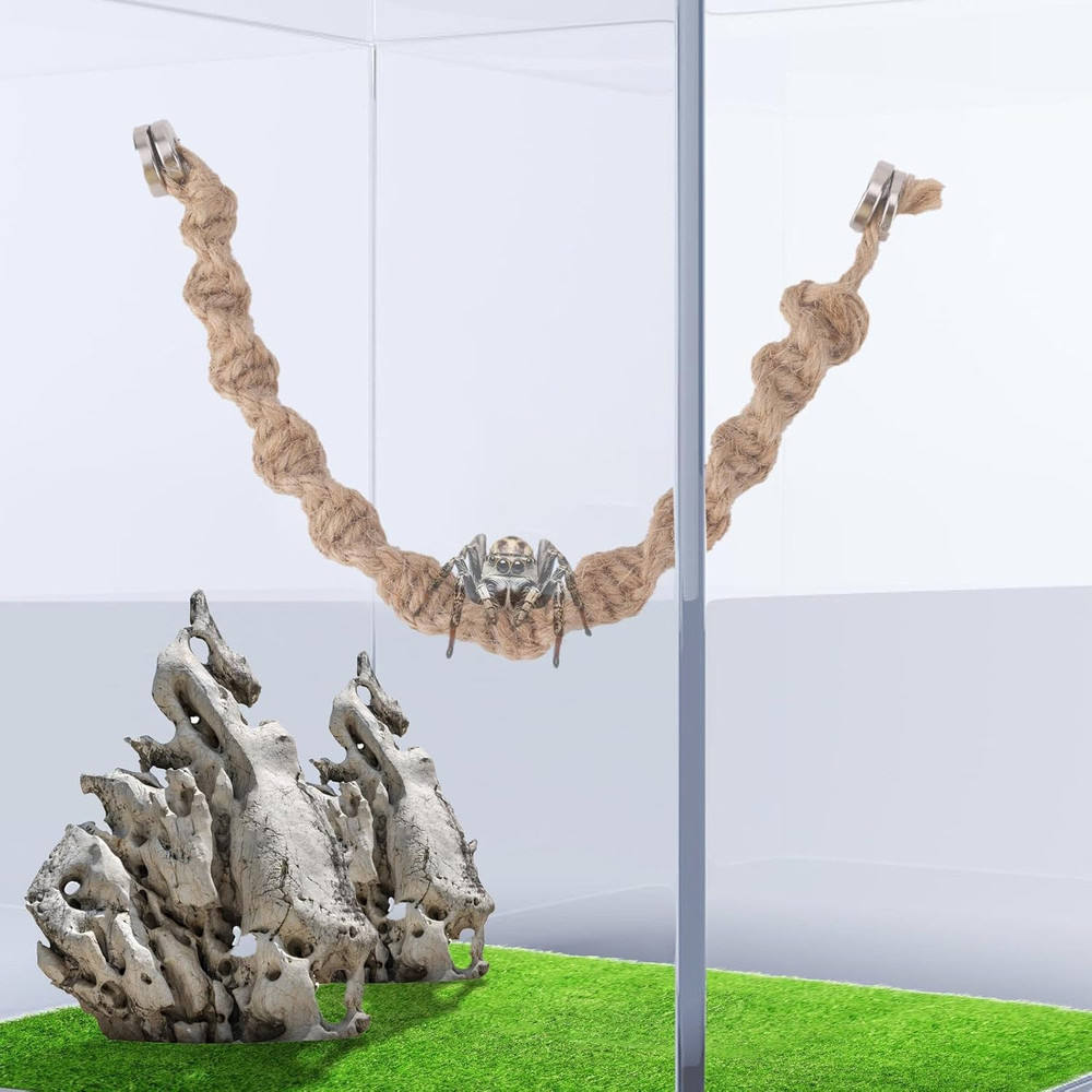 Magnetic Jumping Spider Rope Bridge & Ladders for Tiny Pet Enclosures