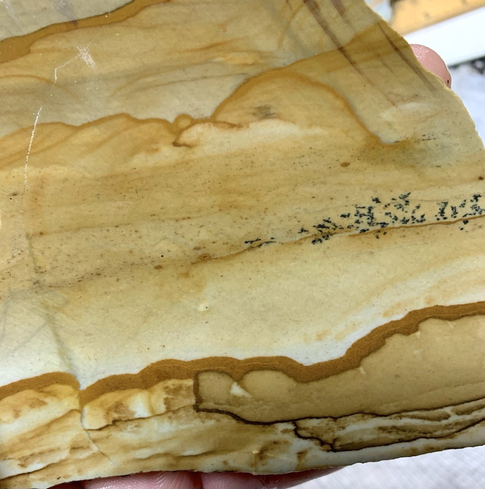 owyhee picture jasper Slab