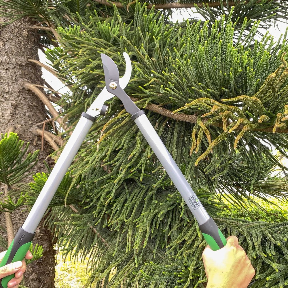 Steel Bypass Lopper Cutting Capacity