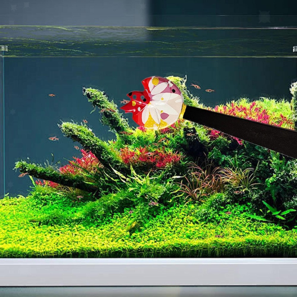 Vibrant Betta Fish Training Set