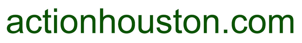 ActionHouston.com domain name, registered at Fastdomain (Bluehost)