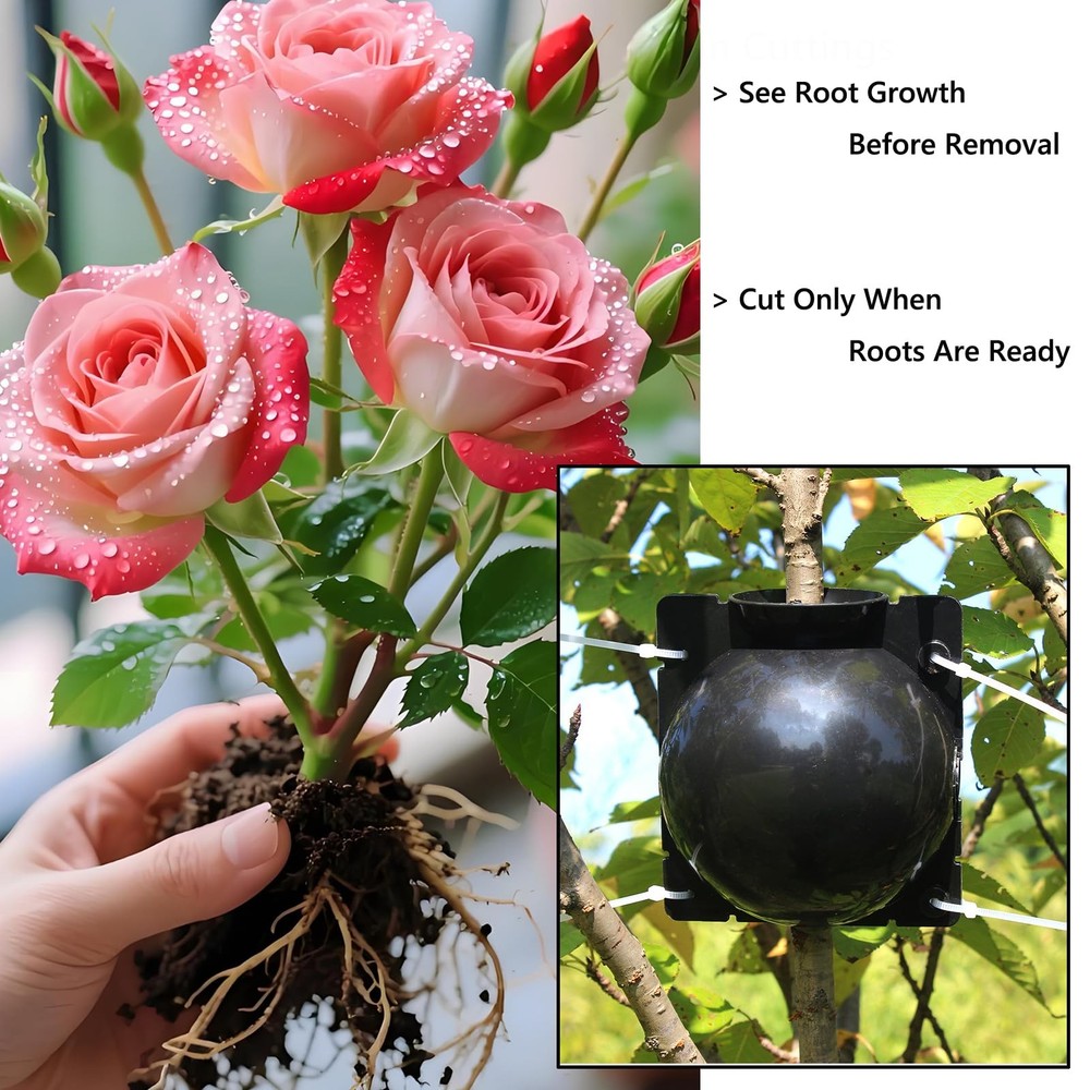 Tree Root Growing Box 10pcs Air Layering Propagation Ball Kit