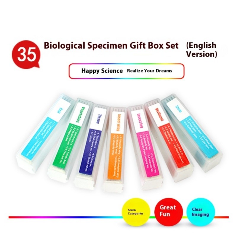 35PCS Strong Microscope Prepared Slides Seven Biological Specimens for Science
