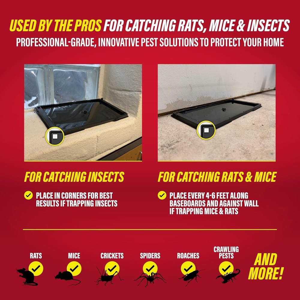 Heavy Duty Rat & Mouse Glue Traps - 2 Pack Sticky Putty Pests Control Solution