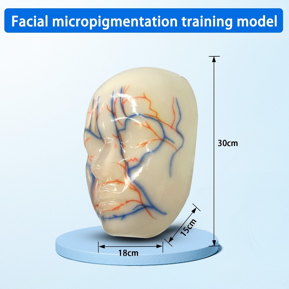 Multi-Functional Silicone Face Injection Model for Filler, Suture & Thread Train