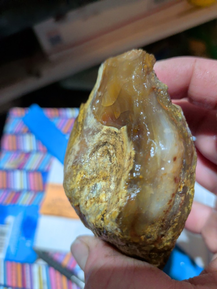 Petrified Opalized Wood Specimen Natural Form (10.7oz)
