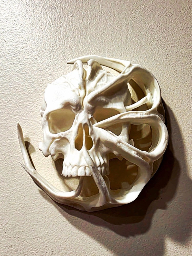 3d printed Decorative Skull Wall Hanging Wall Art Sculpture