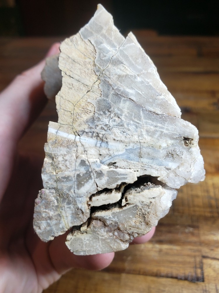 Crystalized Petrified Wood with vien 2.6lbs