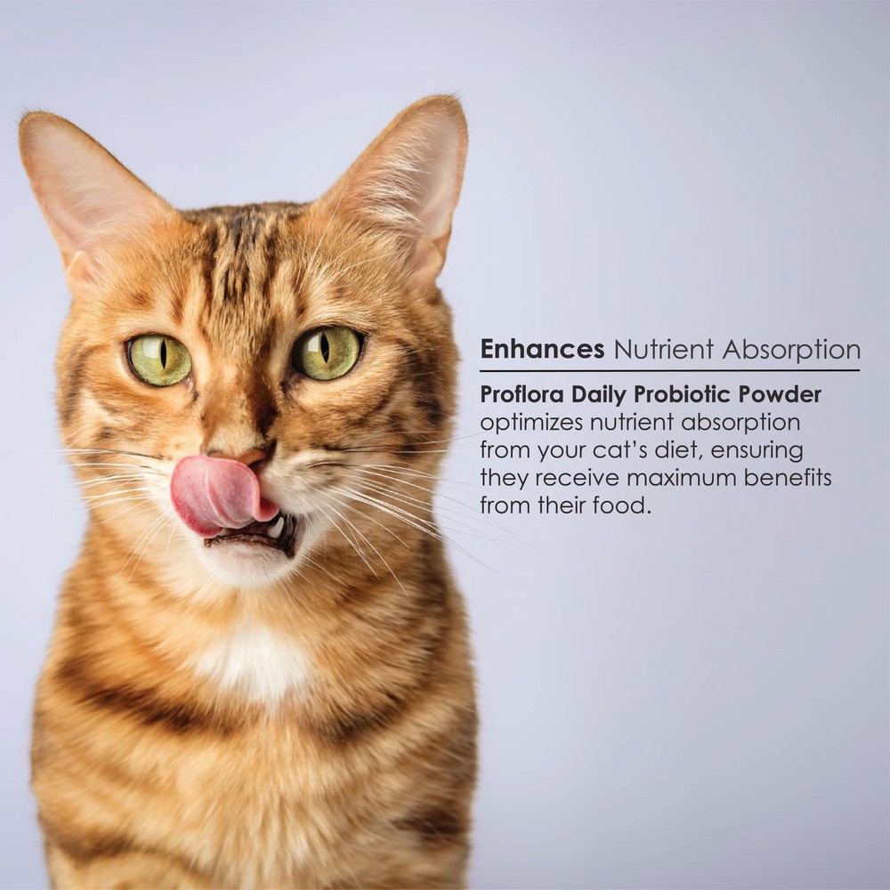 Proflora Probiotic for Cats (30 Servings)