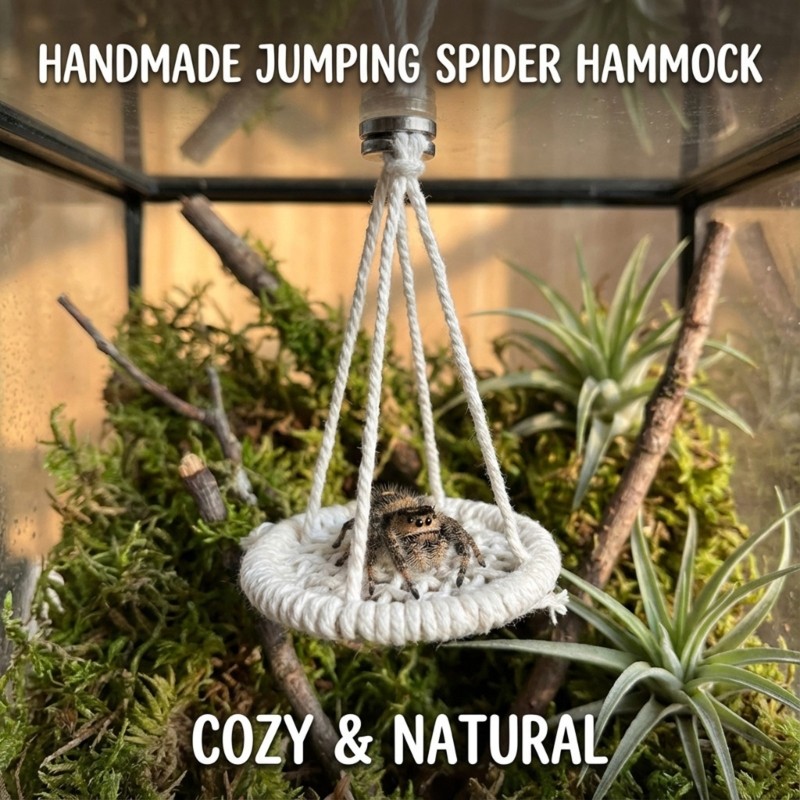 Jumping Spiders Platform Perch Woven Bed Terrarium Decors