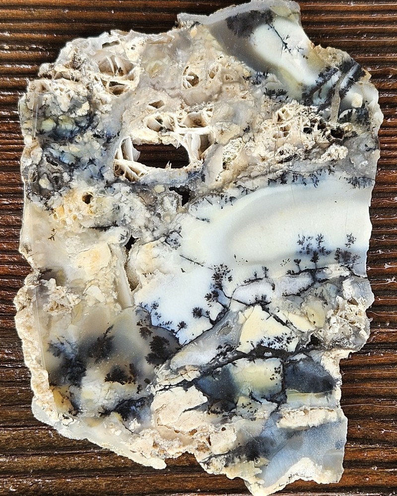 Dendritic Agate Lapidary Slab 78 Grams