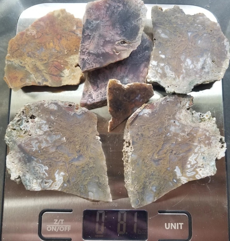 Great Multicolor Moss Plume Agate 7 Slab Lot 230g Various Specimens Translucent