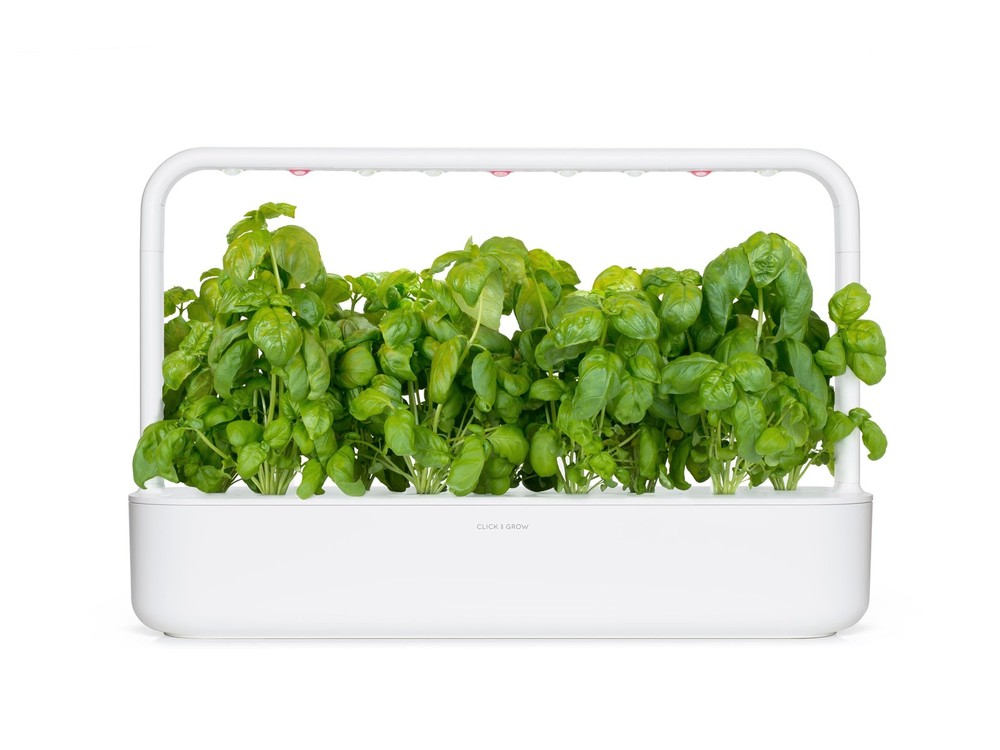 Smart Garden Basil Plant Pods, 3-Pack