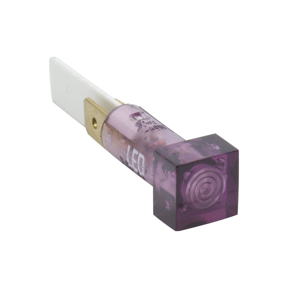 Marshall Vintage Indicator Light - Purple