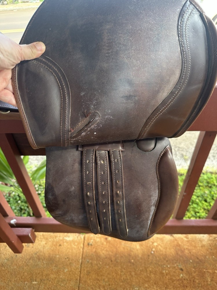 Crosby Soft Ride Jumping saddle