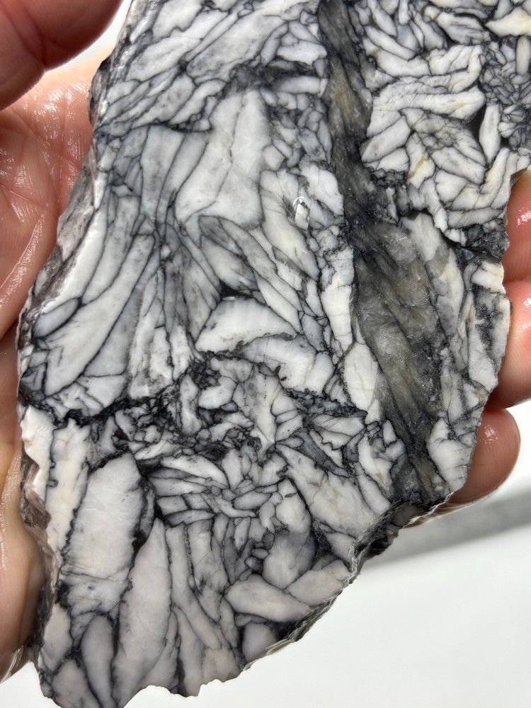 Rare Pinolith Slab Austria Cabbing Lapidary Combo Ship Avail