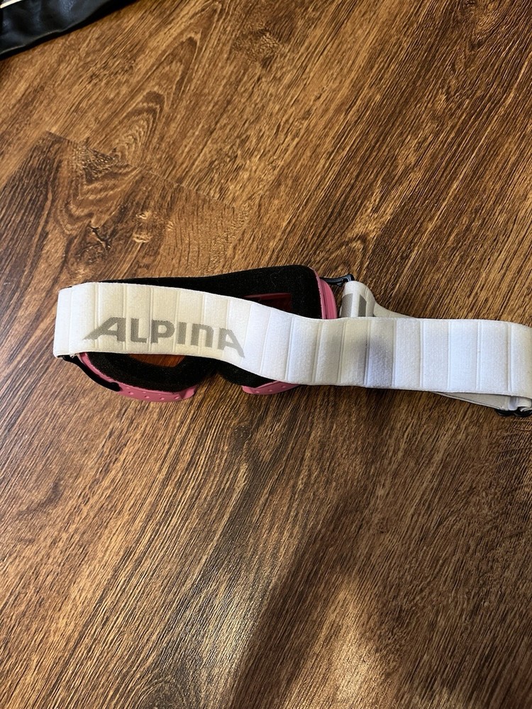 Alpina Singleflex Ski Mask