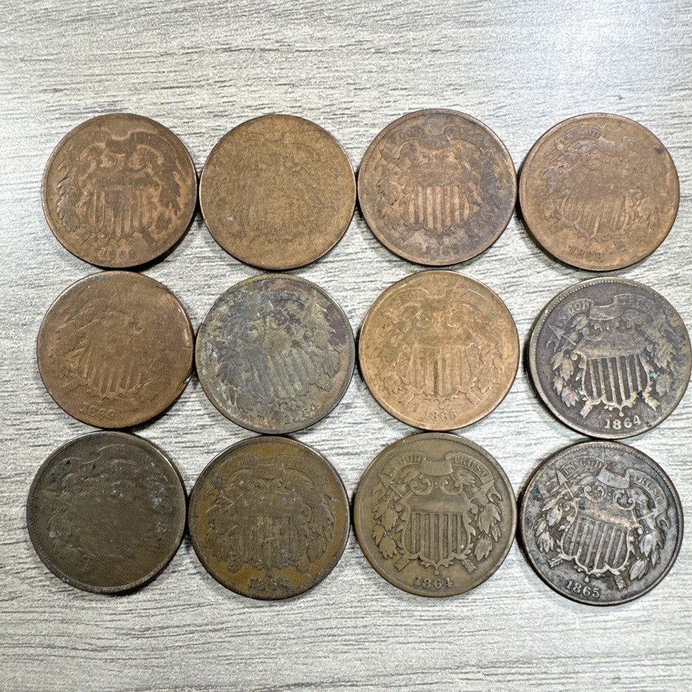 12 Coin US Two Cent Piece 2c LOT Collection