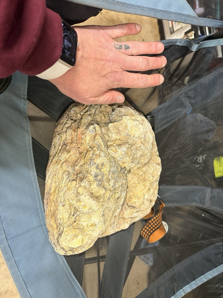Crystallized Petrified Wood