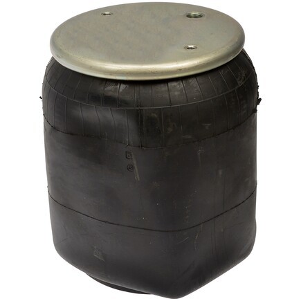Dorman 452-9069L Air Spring;Rlob/P