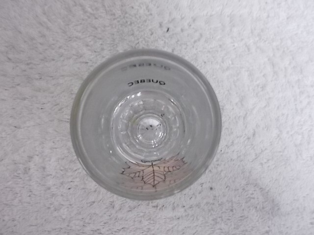 Quebec Canada Colorful Maple Leaf Clear Shot Glass Barware