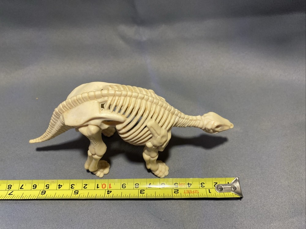 Dinosaur Skeleton Figures Prehistoric Animal 6” Plastic