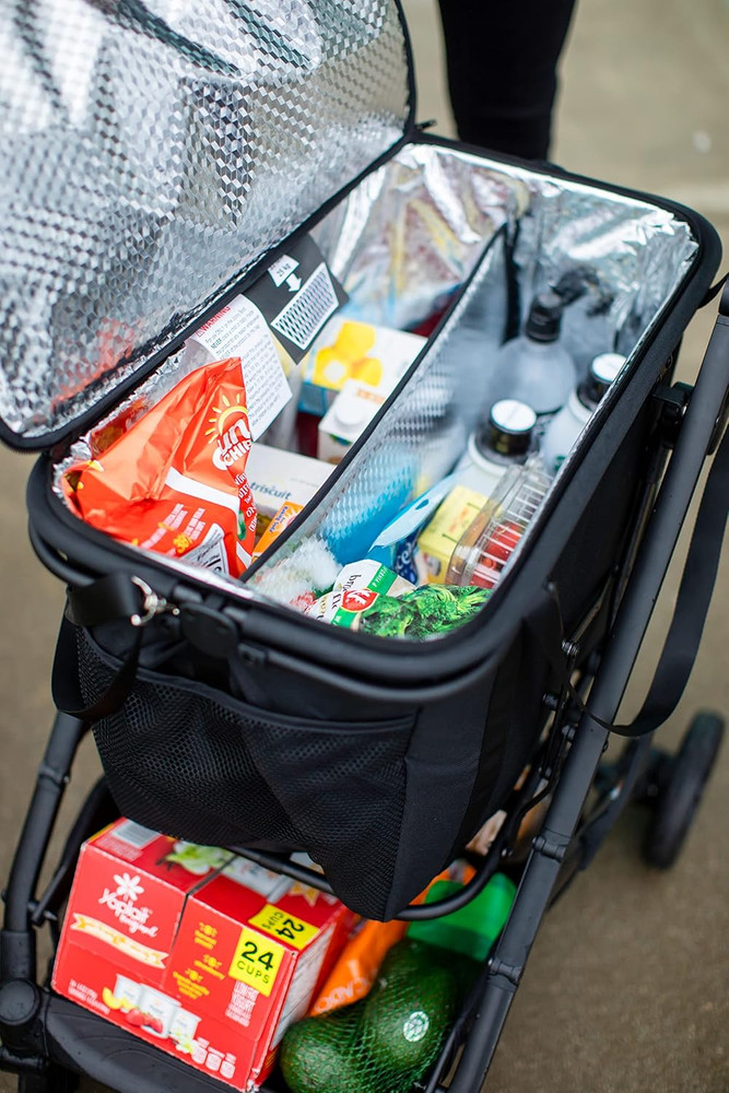 Boot Insulated Bag