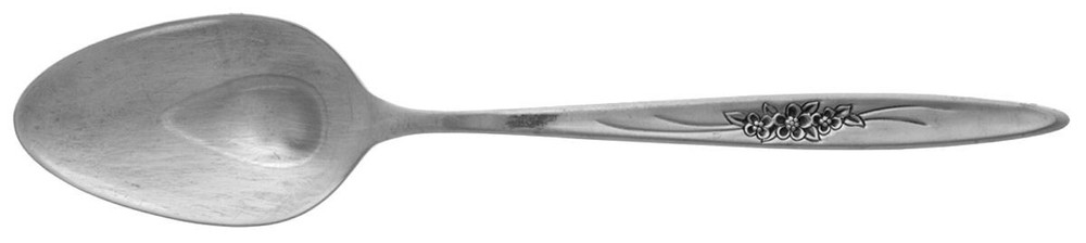 International Silver Windflower  Teaspoon 262240