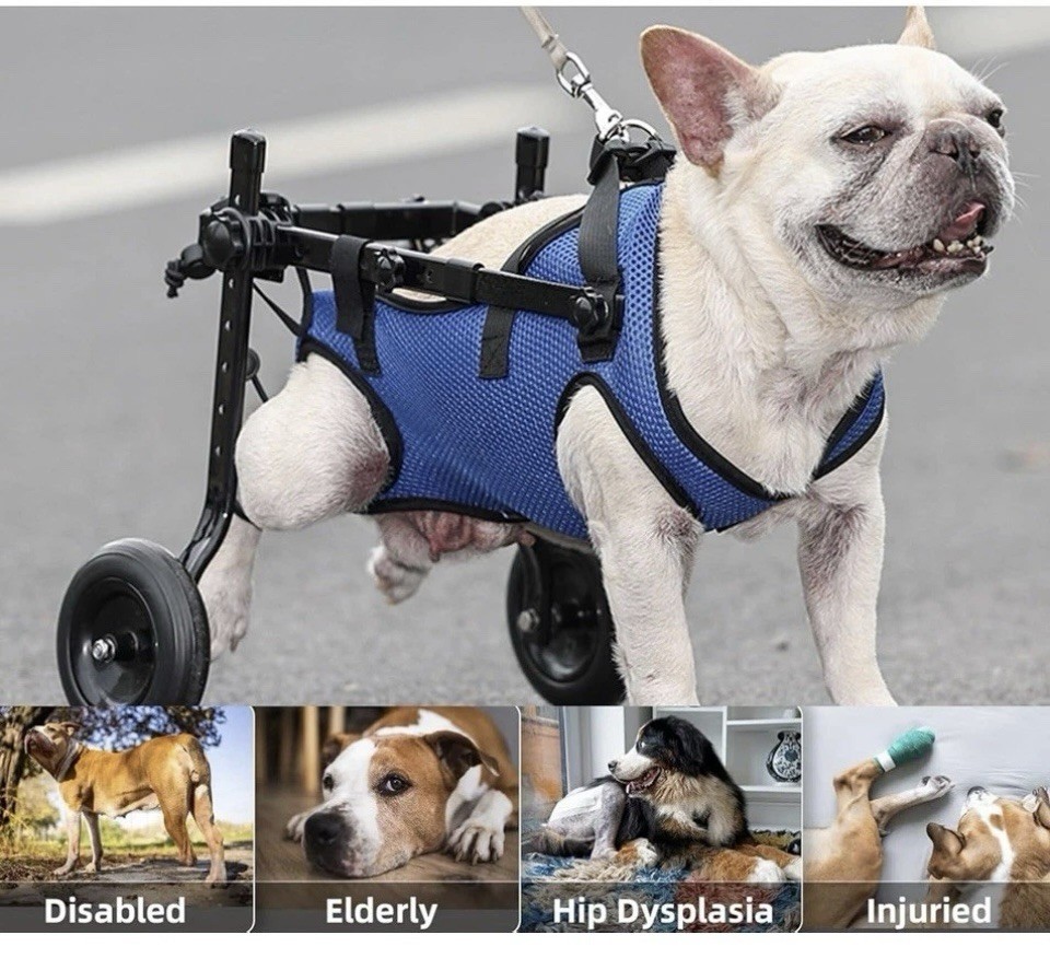 Dog Wheelchair Adjustable for Back Legs - Size S