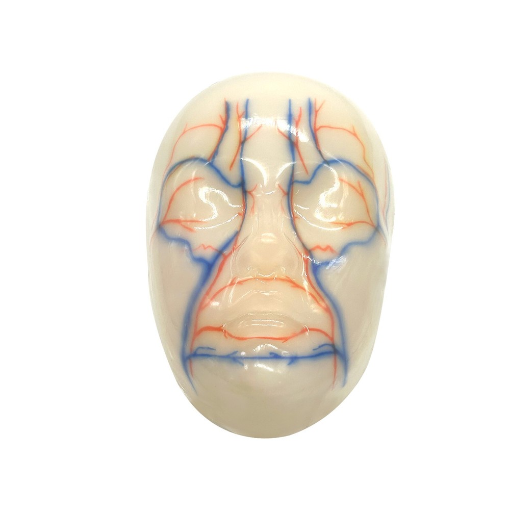 Multi-Functional Silicone Face Injection Model for Filler, Suture & Thread Train